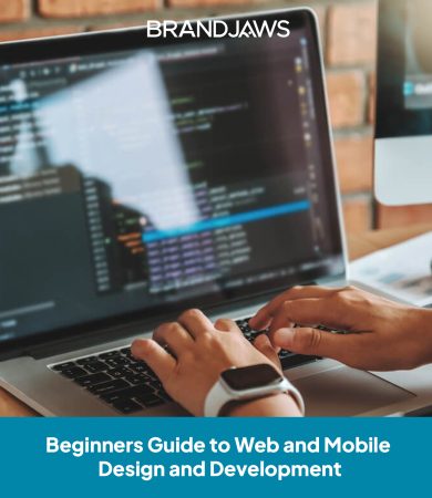 Beginners Guide to Web and Mobile Design and Development