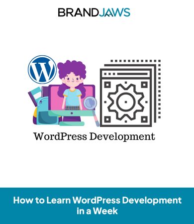 How to Learn WordPress Development in a Week