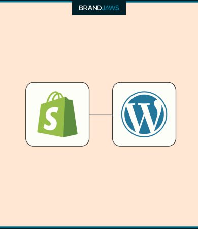 How do I link my WordPress site with my Shopify store
